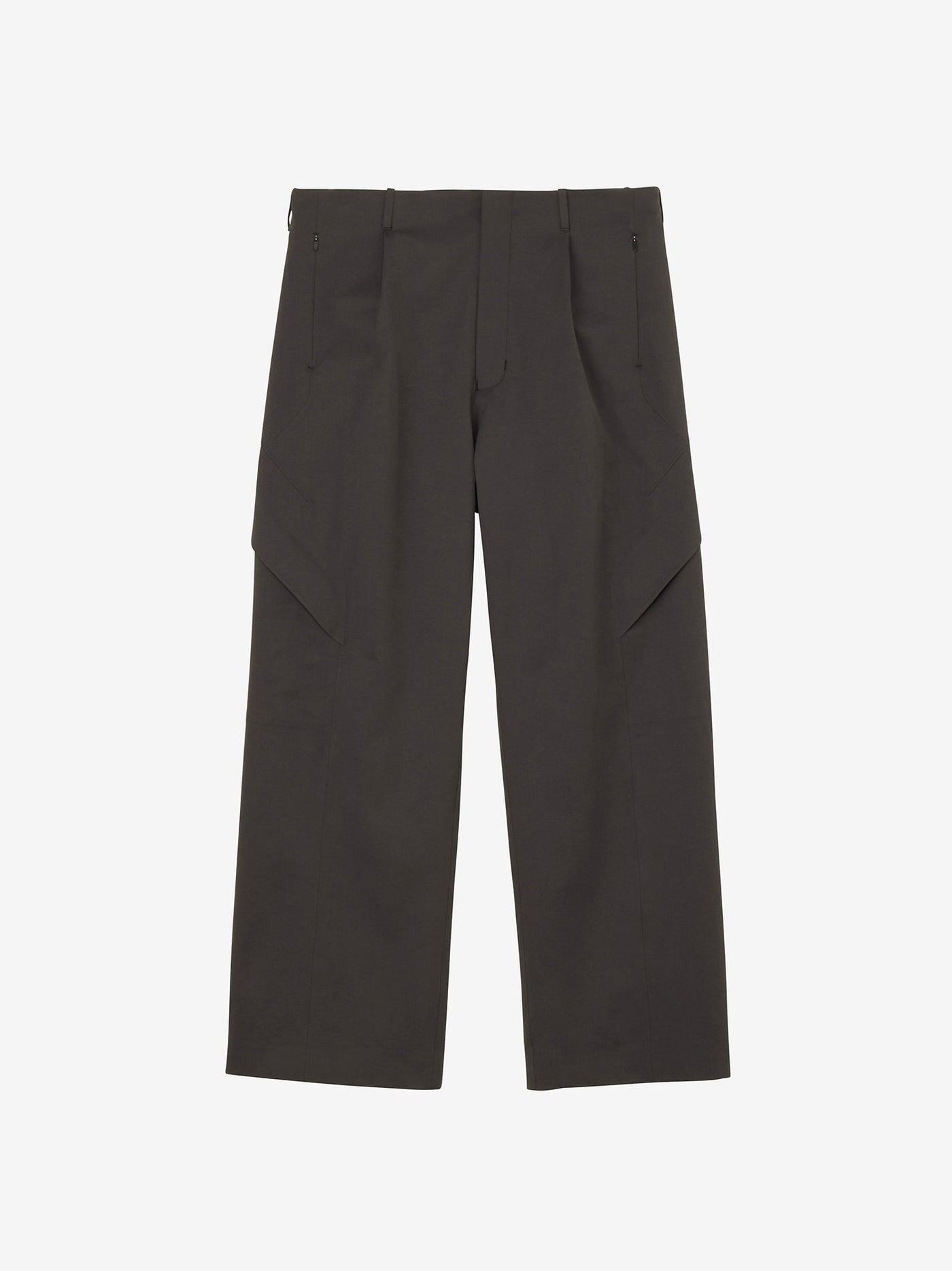 Goldwin _J.L-A.L_ Cargo Pants